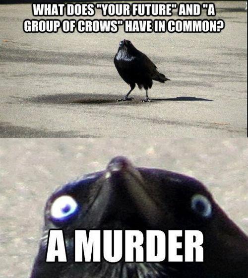 Publicité pourrie crow murder