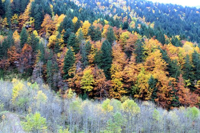 Sonate d'automne dans les Bauges - le Mont Pécloz Sonate d'automne dans les Bauges - le Mont Pécloz
