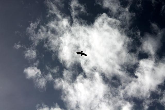 Sonate d'automne dans les Bauges - le Mont Pécloz Sonate d'automne dans les Bauges - le Mont Pécloz