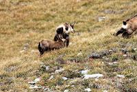 Sonate d'automne dans les Bauges - le Mont Pécloz Sonate d'automne dans les Bauges - le Mont Pécloz