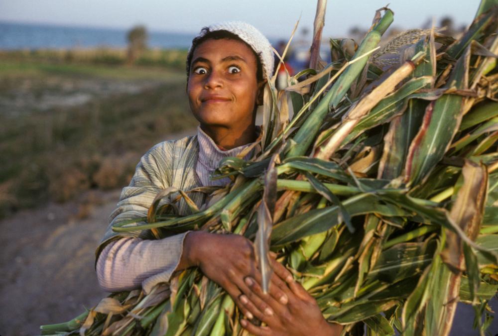 Egypt Travel La diplomatie brésilienne du bioéthanol : des agrocarburants pour développer l’Afrique ?