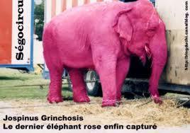 Les mots qui attirent à vous ce que vous NE voulez PAS et exercice d’application…. Les mots qui attirent à vous ce que vous NE voulez PAS et exercice d’application….