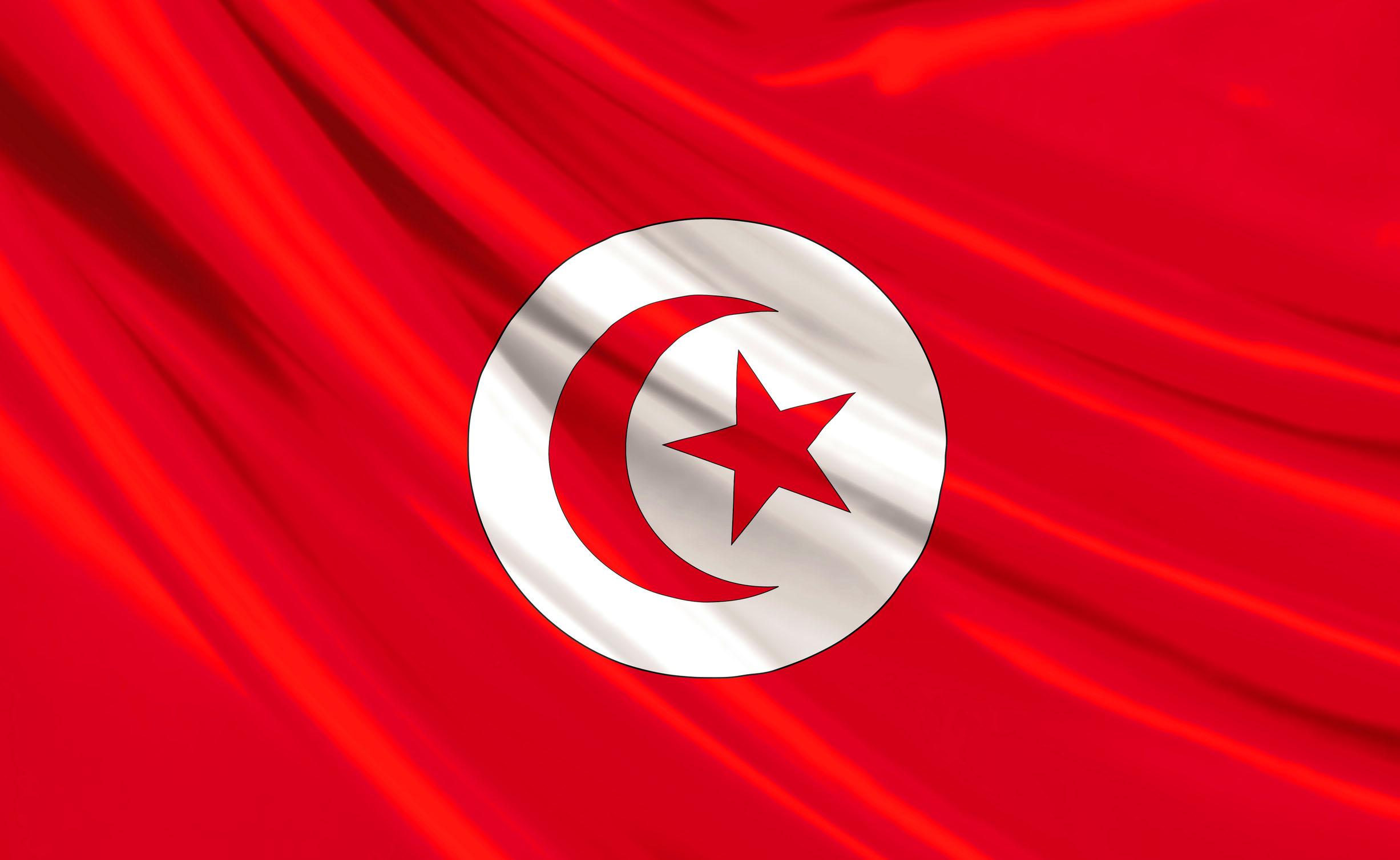 drapeau de la tunisie Tunisie: le Non, merci du Front Populaire au FMI