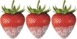 Une petite cure minceur Bio s’impose !!! fraise stevia