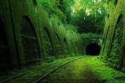 Chemin de Fer Petite Ceinture – Paris Petite Ceinture 01