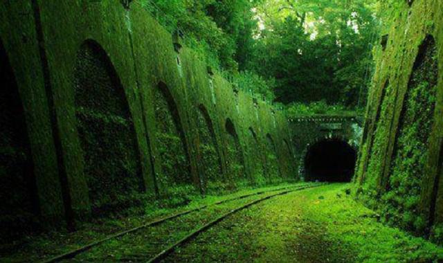 Chemin de Fer Petite Ceinture – Paris Petite Ceinture