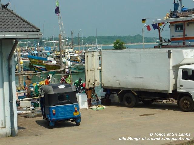 Le charmant quartier des pêcheurs de Tangalle au Sri Lanka !