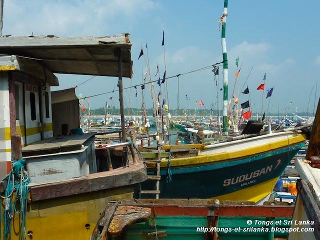 Le charmant quartier des pêcheurs de Tangalle au Sri Lanka !