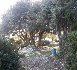 374 Surville, vous connaissez ?