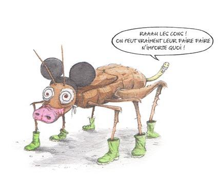 Les parasites dans les coussins plumeux