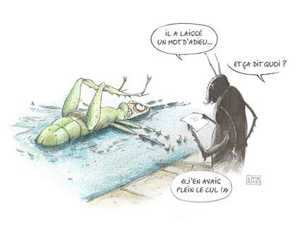 La toux aux parasites chez les adultes les symptômes et le traitement