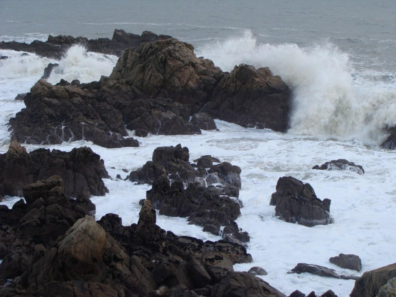 on ne peut pas la taire on ne peut pas la taire