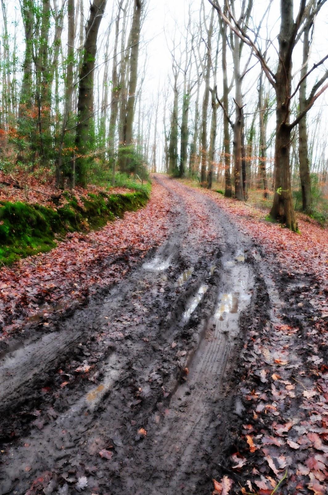 Ballade de campagne hivernale Ballade de campagne hivernale