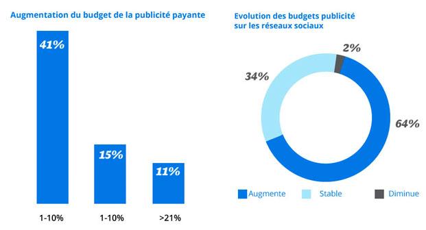 Usages et pratiques de la publicité sur les réseaux sociaux en 2013 Les budgets sur les réseaux sociaux sont encore faibles mais sont en croissance constante