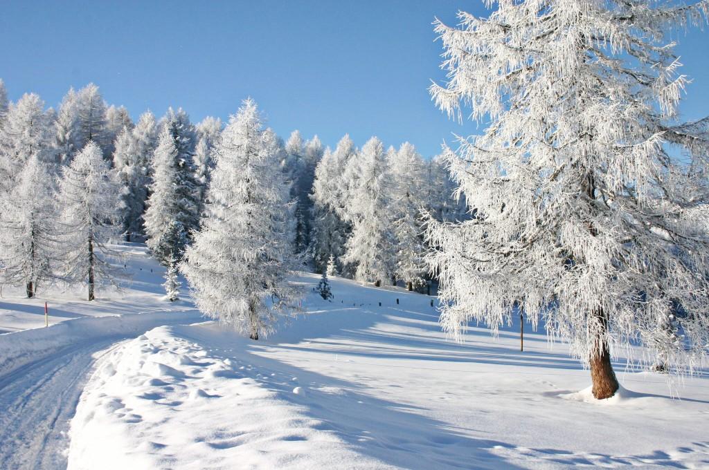 Der perfekte Winter Soundtrack 1024x680 La bande son hivernale parfaite en 3 étapes