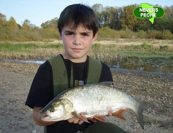 La pêche russe 3.1 anguille lappât