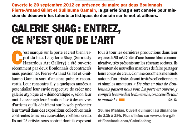 SHAG me partout Capture-d-ecran-2013-02-10-a-10.34.31.png