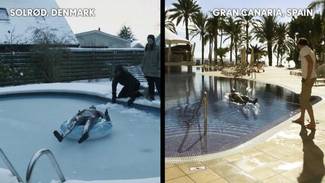 RECHARGEZ VOS BATTERIES 50