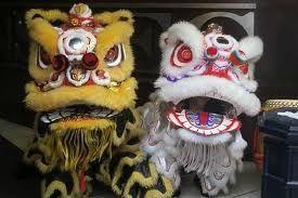 Bonne année du serpent d'eau ! dragonet merlion