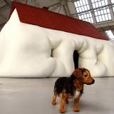 Erwin Wurm – Transformation Erwin Wurm 09