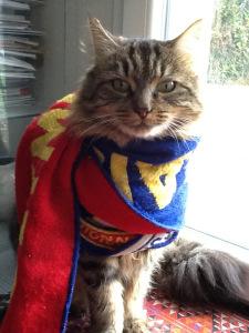 Le pacha pacha_hirondellina