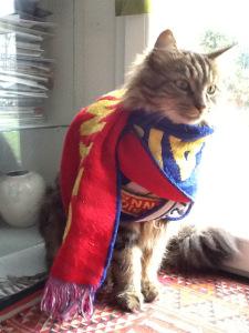 Le pacha la pacha_hirondellina