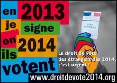 Droit de vote des étrangers aux élections locales (1) elections locales, droit de vote