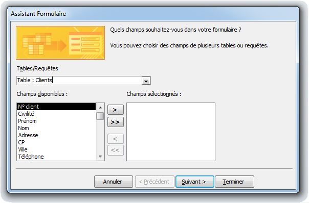 Créer sa première base de données Access – Partie 3 – Création d’un formulaire Assistant formulaire choix des champs