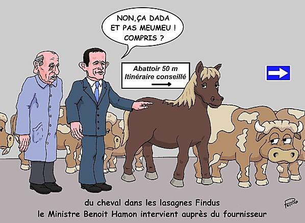 findus-11-fevrier-2013.jpg