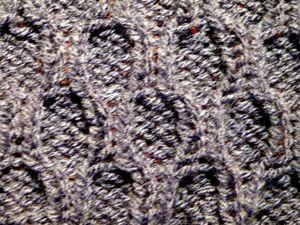 Le point de nid d'abeilles nid d'abeilles 002