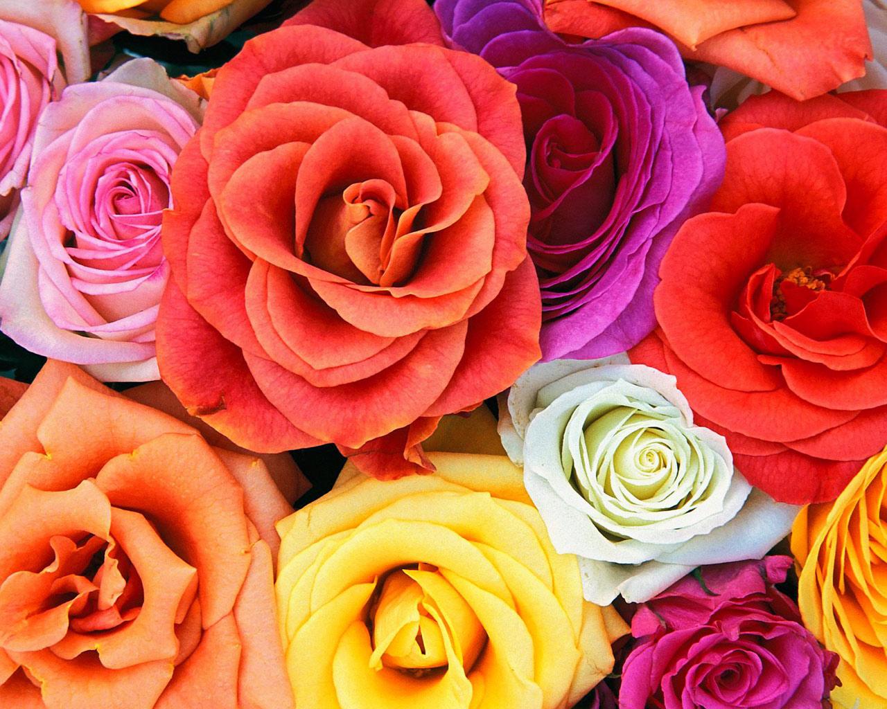 6 bonnes raison de fêter la St Valentin (si,si) 6 bonnes raison de fêter la St Valentin (si,si)