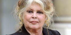 Brigitte Bardot réclame la fin de la consommation de la viande de cheval Brigitte Bardot réclame la fin de la consommation de la viande de cheval