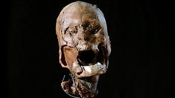 La tête momifiée du roi Henri IV