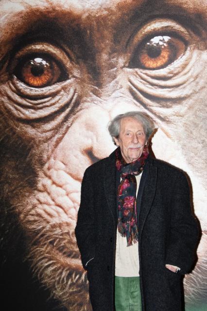 Disneynature Chimpanzés : Découvrez les photos de l’avant-première au Grand Rex hier!‏