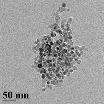 Une vue au microscope électronique des nanoparticules de silicium capables de libérer de l'hydrogène à partir de l'eau. Pour cela, inutile de chauffer ou d'utiliser un courant électrique.