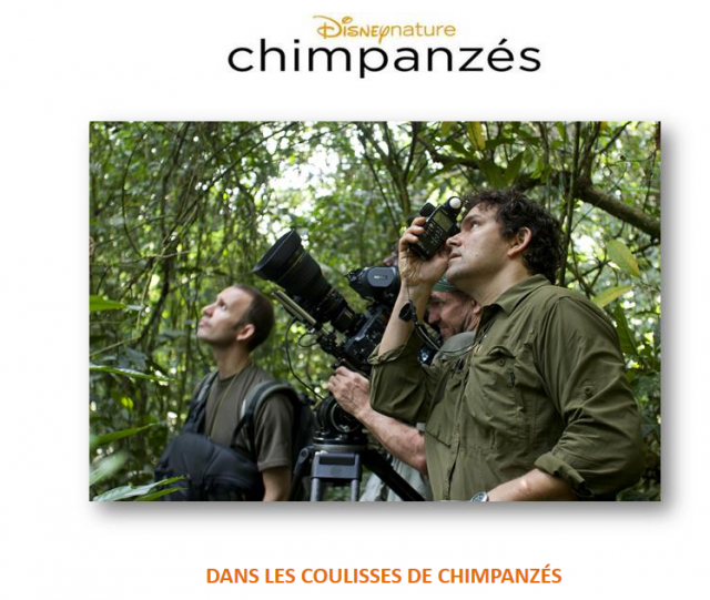 Disneynature Chimpanzés : Découvrez les coulisses du tournage !‏