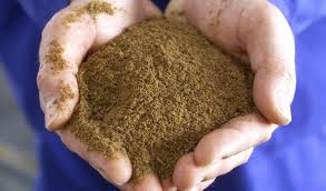 Farine animale, le retour dans nos assiettes. Farine animale, le retour dans nos assiettes.