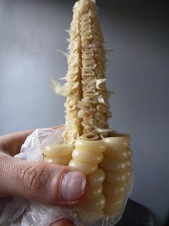 D'Ollantaytambo à Cuzco : la vallée sacrée D'Ollantaytambo à Cuzco : la vallée sacrée