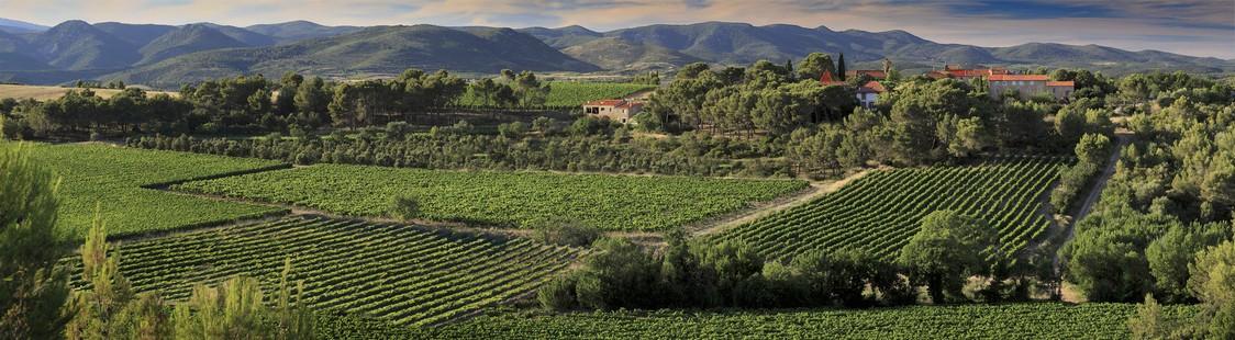 Cazal Viel 2 Cazal Viel 2