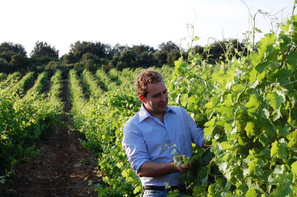 Laurent et vignes Cazal Viel_Saint Chinian 2 Laurent et vignes Cazal Viel Saint Chinian 2