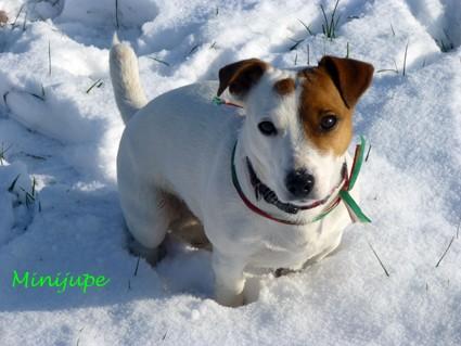 Janvier sports,stats,marche à pied,footing,rando,nature,dalton,plaisir,évasion