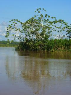 Pérégrinations amazoniennes (1) : de Tarapoto à Lagunas (ou Liliane dans les lianes)