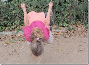 Fevrier2013_374 Fevrier2013_374