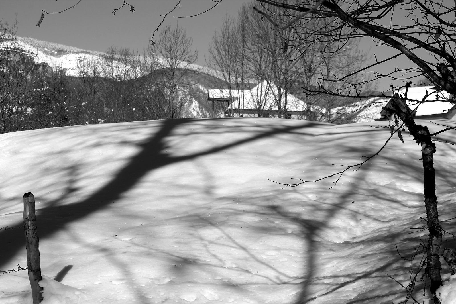 Une incursion en Chartreuse Une incursion en Chartreuse