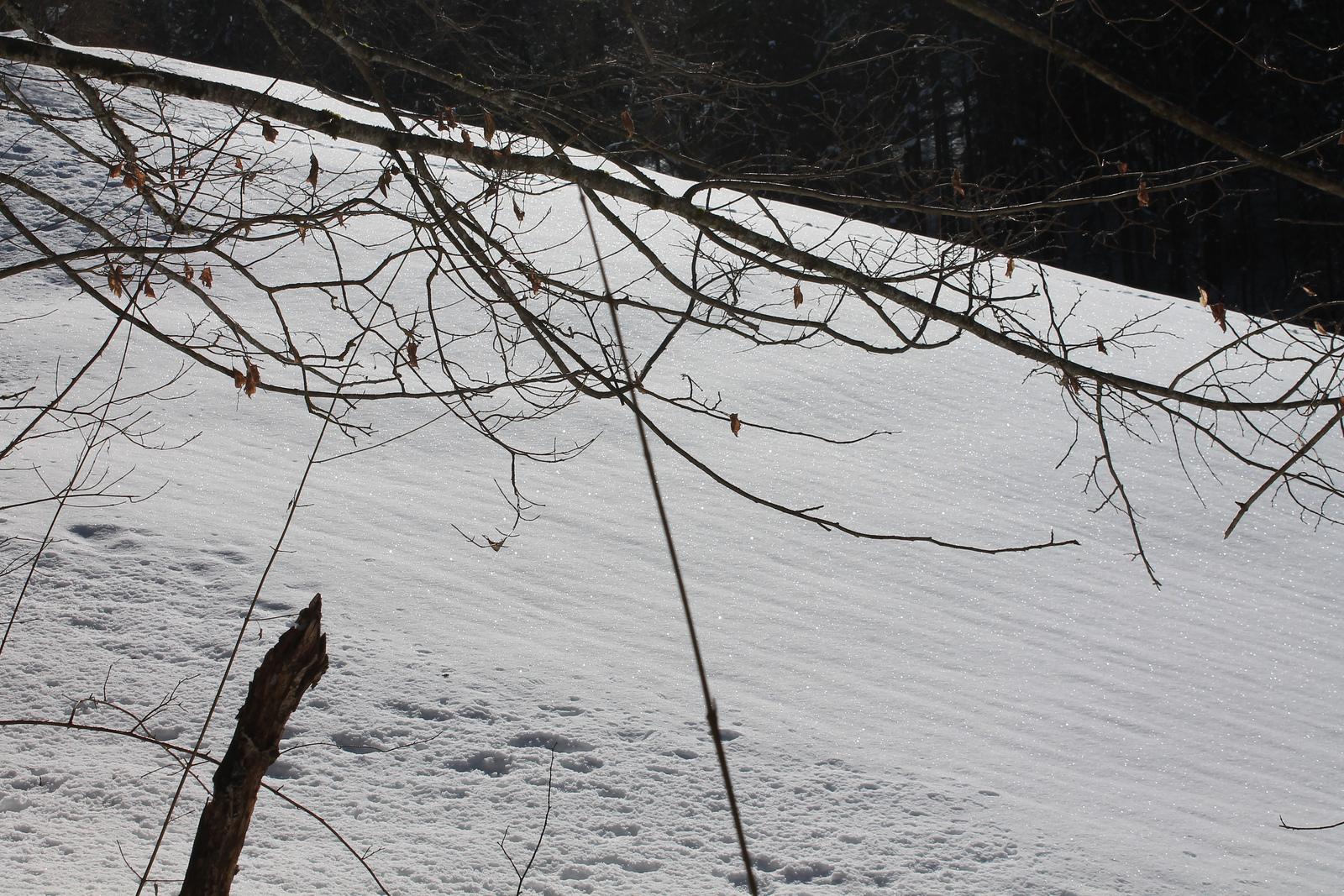 Une incursion en Chartreuse Une incursion en Chartreuse