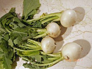 Pasta with baby turnips pasta turnips