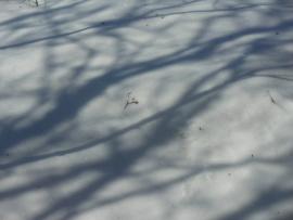 Billet de L’Anse-aux-Outardes, par Claude-Andrée L’Espérance… Billet de L’Anse-aux-Outardes, par Claude-Andrée L’Espérance…