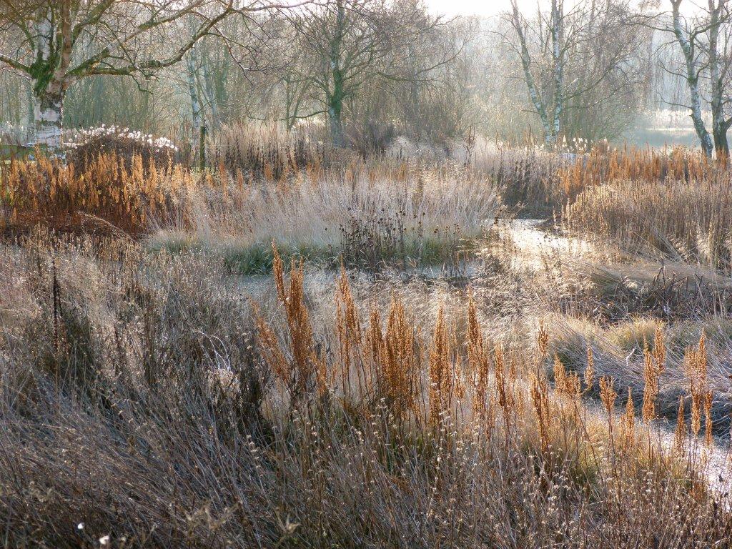 Piet Oudolf, landscape designer Pensthorpe-5
