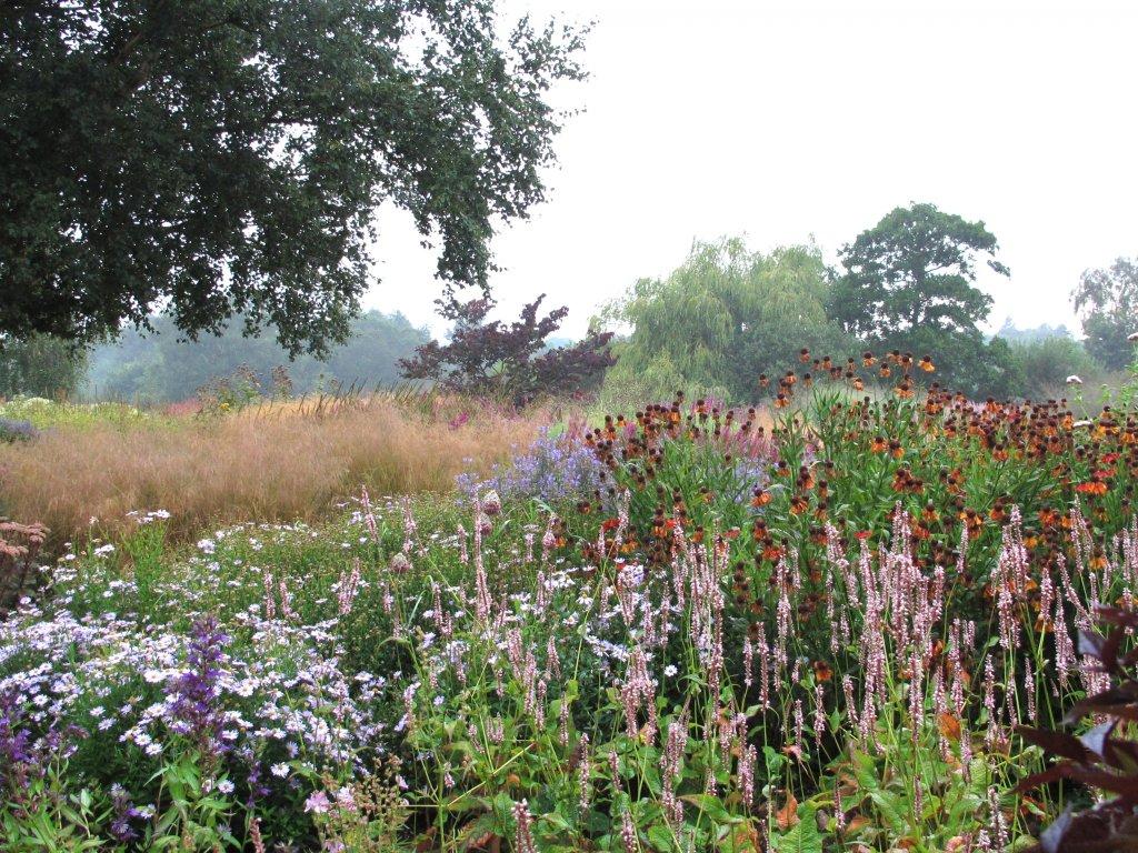 Piet Oudolf, landscape designer Pensthorpe-3