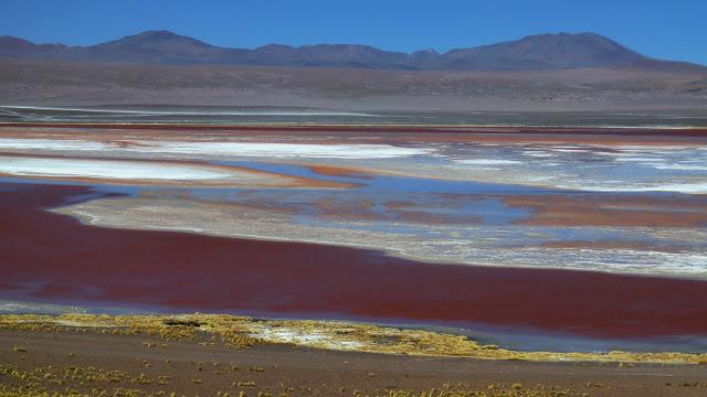 La laguna colorada La laguna colorada
